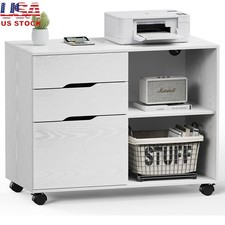 Sturdy Rolling File Cabinet W/