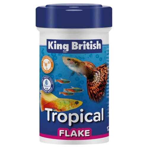 King british tropical aquarium - british,