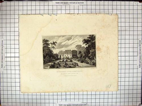 Old antique print summerfield - antique,