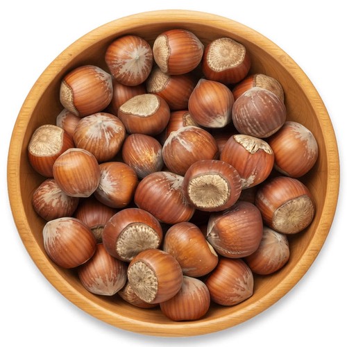 Hazelnuts filberts whole - filberts, fresh