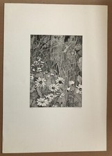 Sir Peter Blake Signed Limited