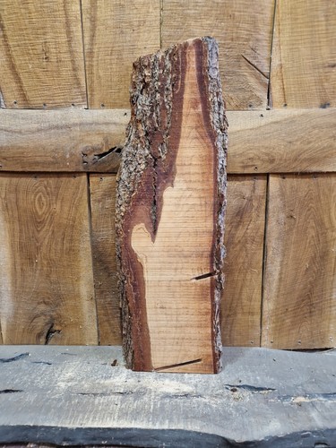Cedar slab live - slab, edge