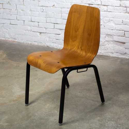 Modern walnut molded plywood - walnut,
