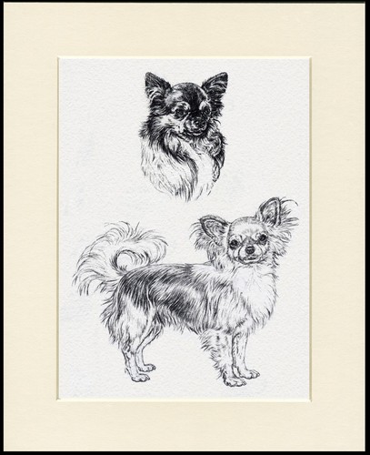 Chihuahua dog art print - dog,