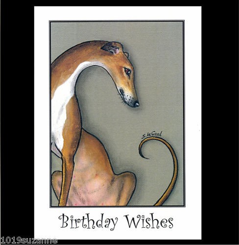 Original greyhound dog - greyhound,