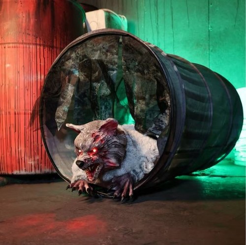 Animated zombie raccoon - 2, ft