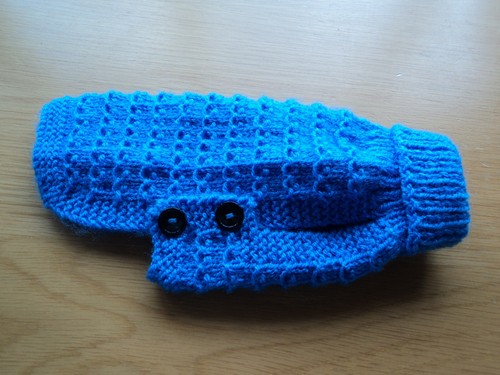 Hand knitted dog - hand,
