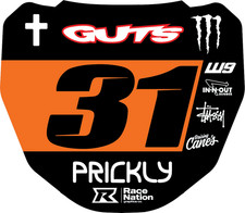 ODI DH Mountain Bike Front