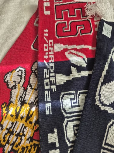 Wru nations scarves - 6,