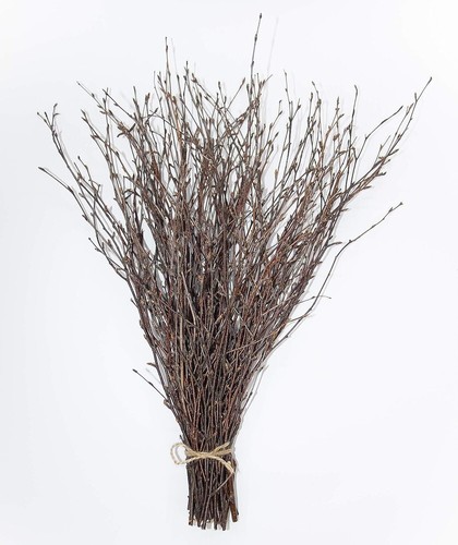 Decorative bunch twigs - bunch,