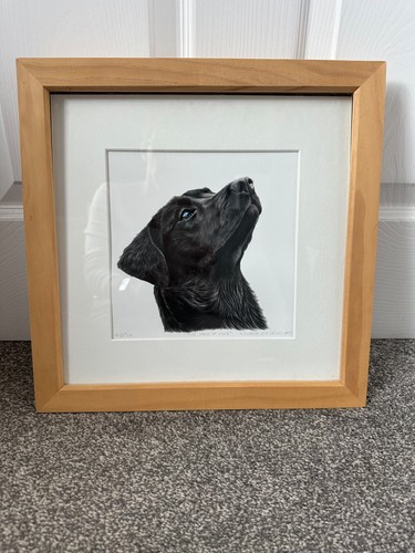 Kimberley dewhurst print - dewhurst, –