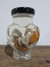 Taxidermy Wet Specimen Fetal