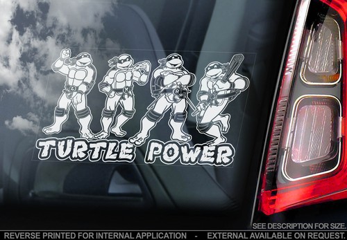 Turtle power car window - turtle,