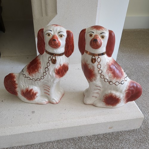 Pair staffordshire spaniels - pair, of