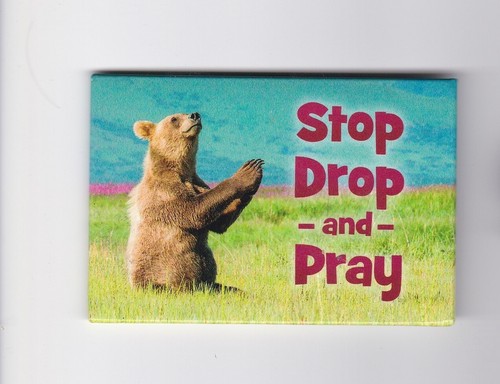 Humor animal refrigerator - humor,