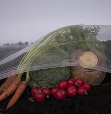 Ultrafine veggiemesh insect - veggiemesh, ®