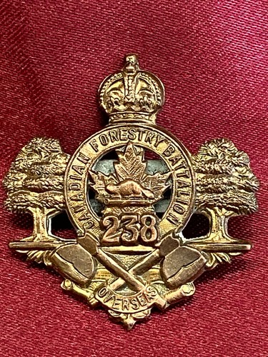 Canadian cef 238th - 238th, forerstry