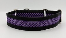 Purple celtic band martingale - celtic,