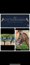 MINI& SHETLAND BRIDLE  &  CUB