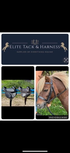 Mini shetland bridle cub - mini&, &
