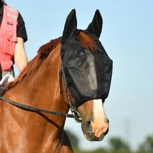 Net relief riding - mask, in