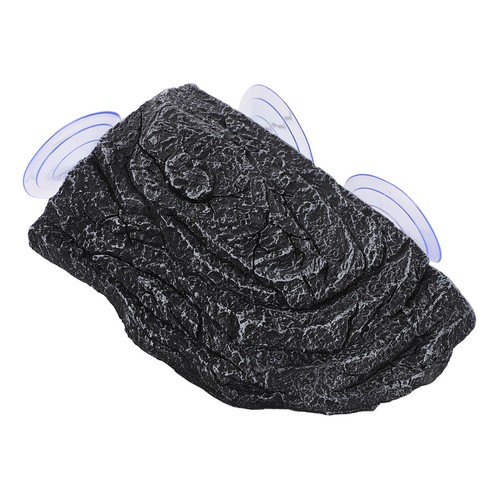 Basking platform chameleon - platform,