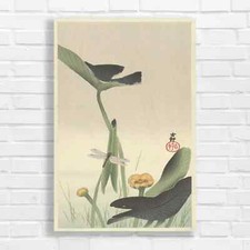 Oriental Botanical Dragonfly