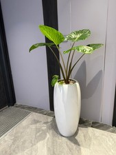 Flower Pots Indoor and Outdoor