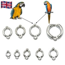 2X Pet Parrot Leg Ring Ankle Foot Chain Bird Ring Flying Training Anti-Lost