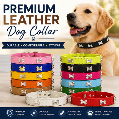 Premium leather dog - premium, collar