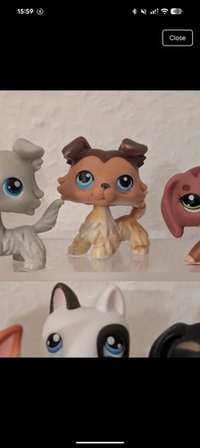 Littlest pet shop - , lps