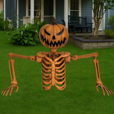 Pumpkin Skeleton Ground