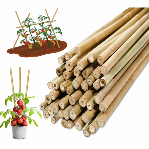 5ft 6ft bamboo - bamboo, canes