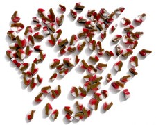 Robin bird murrini for glass fusing made with Bullseye 90coe glass