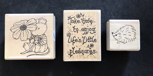 Daisy mouse baby hedgehog - daisy, +