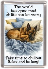 Malinois belgian shepherd dog - shepherd,