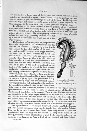 Old antique print natural - antique,