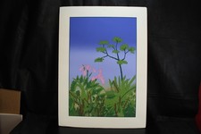 Botanical & Landscape Silk