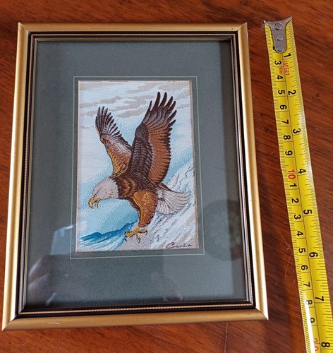 Bald eagle cash collection - bald, cash's
