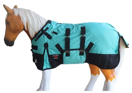 1200d miniature weanling - 1200d,