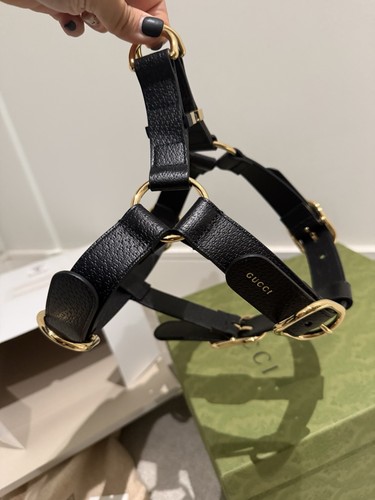 Gucci pet dog interlocking - interlocking, gg
