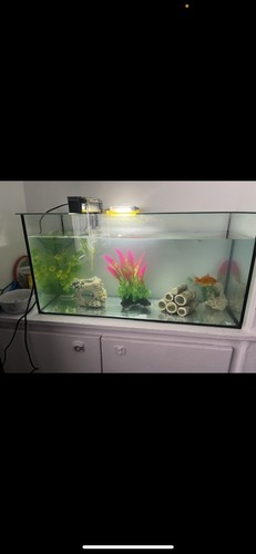 Glass rectangular freshwater - glass,