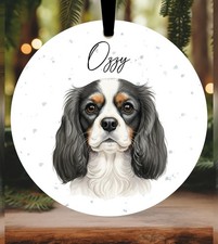 Cavalier King Charles Spaniel