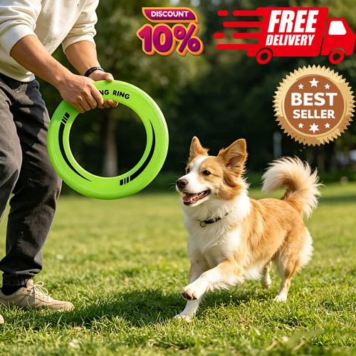 Dog pet flying - pet, disc