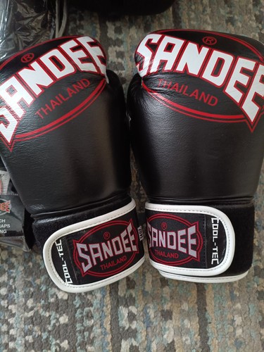 Sandee muay thai gloves 14oz - sandee,