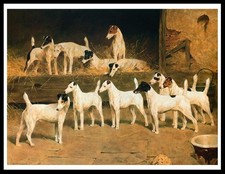 Smooth fox terrier totteridge - terrier,