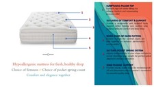 Pocket Spring 5000 Pillow Top