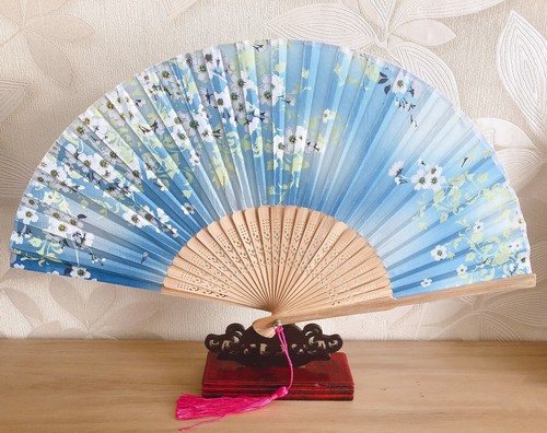 New chinese japanese - japanese, oriental
