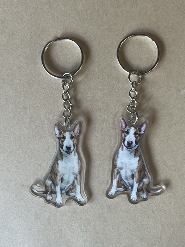 Brown and white bull terrier - and,