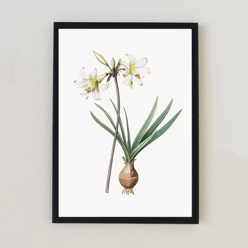 Vintage flower botanical - vintage,